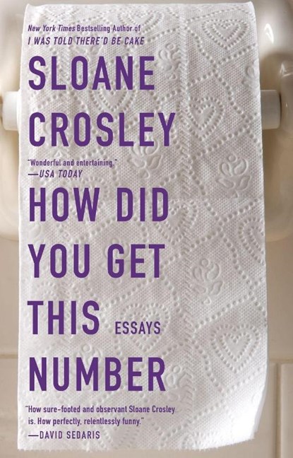 How Did You Get This Number, Sloane Crosley - Paperback - 9781594485190