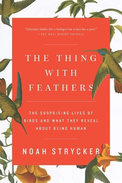 THING W/FEATHERS, Noah Strycker - Paperback - 9781594633416