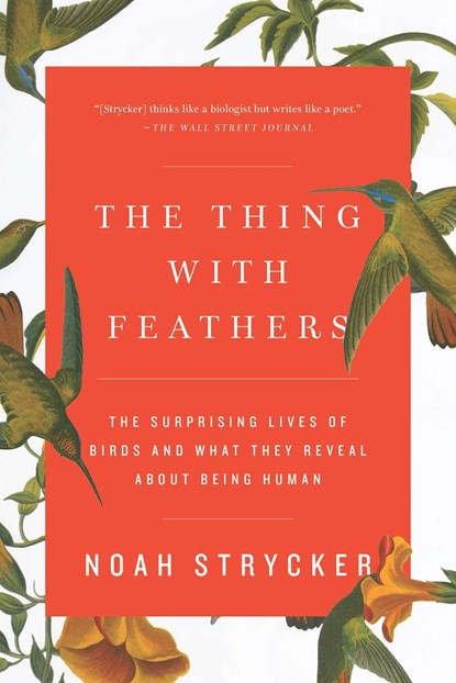 THING W/FEATHERS, Noah Strycker - Paperback - 9781594633416