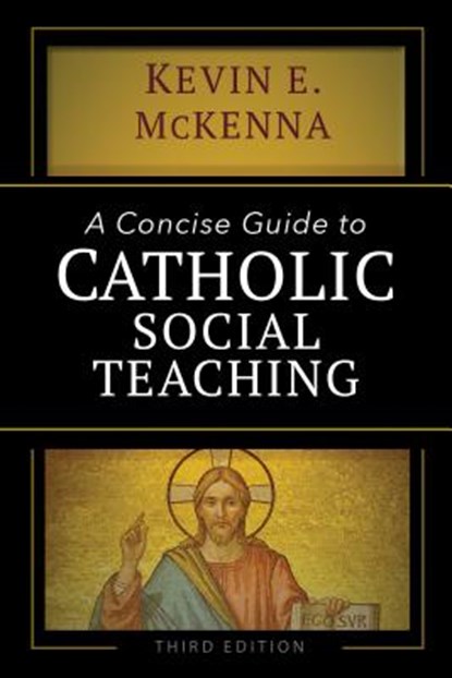A Concise Guide to Catholic Social Teaching, Kevin E. McKenna - Paperback - 9781594718113