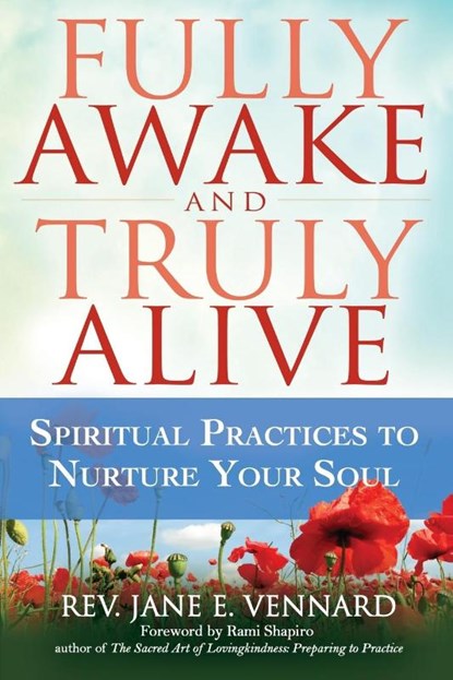 Fully Awake and Truly Alive, Rev. Jane E. (Rev. Jane E. Vennard) Vennard - Paperback - 9781594734731