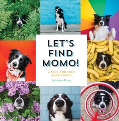 Let's Find Momo!, Andrew Knapp - Ebook - 9781594749599