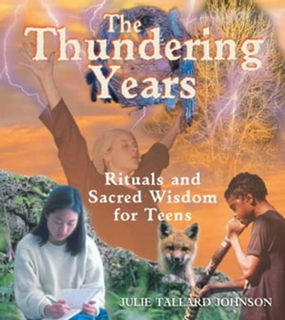 The Thundering Years, Julie Tallard Johnson - Ebook - 9781594776076
