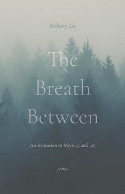 The Breath Between: An Invitation to Mystery and Joy, Bethany Lee - Paperback - 9781594980619