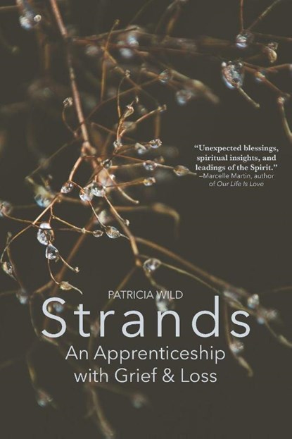 Strands, Patricia Wild - Paperback - 9781594981678