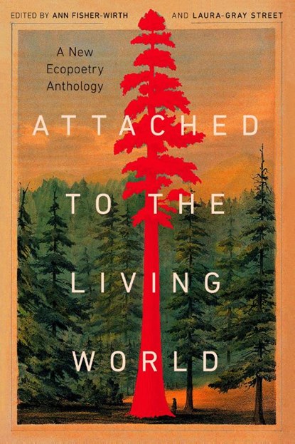 Attached to the Living World, Ann Fisher-Wirth ; Laura-Gray Street - Paperback - 9781595343086