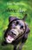 Alive Day, Tom Sullivan ; Betty White - Paperback - 9781595544575