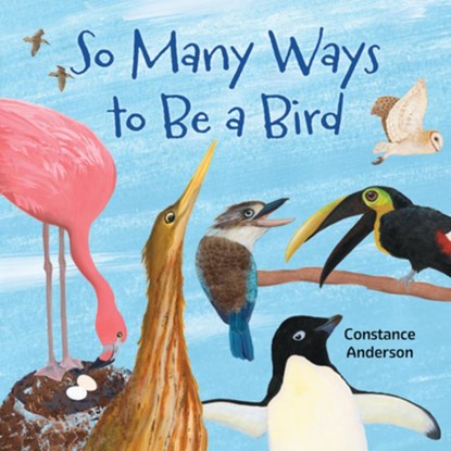So Many Ways to Be a Bird, Constance Anderson - Paperback - 9781595729934