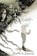 Comes a Pale Rider, KIERNAN,  Caitlin R. - Gebonden - 9781596069855