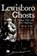 Lewisboro Ghosts, KOEHL,  Maureen - Paperback - 9781596292550