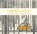 LENNY & LUCY, STEAD,  Philip C. - Gebonden - 9781596439320