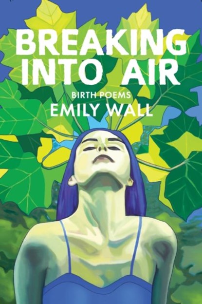 Breaking into Air, Emily Wall - Paperback - 9781597099233