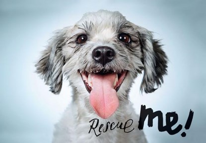 Rescue Me!, Richard Phibbs - Gebonden - 9781597113380
