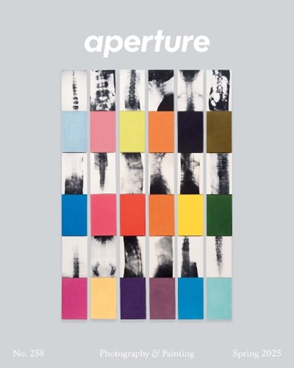 Photography & Painting: Aperture No. 258, Aperture Aperture - Paperback - 9781597115797