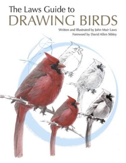 The Laws Guide to Drawing Birds, John Muir Laws - Paperback - 9781597141956