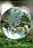 Ecotopia, Ernest Callenbach - Paperback - 9781597142939