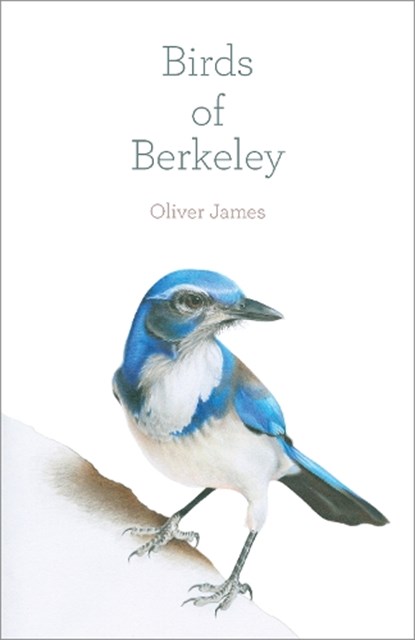 Birds of Berkeley, Oliver James - Paperback - 9781597146012