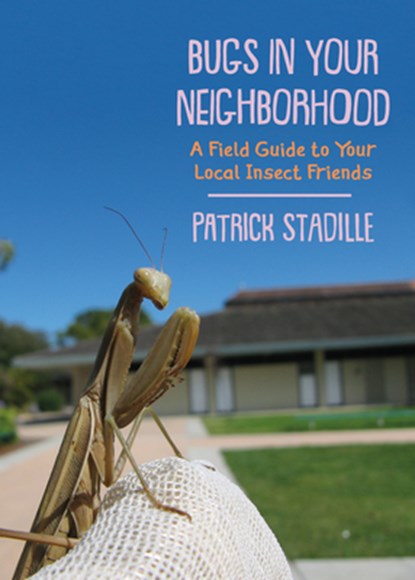 Bugs in Your Neighborhood, Patrick Stadille - Paperback - 9781597146838