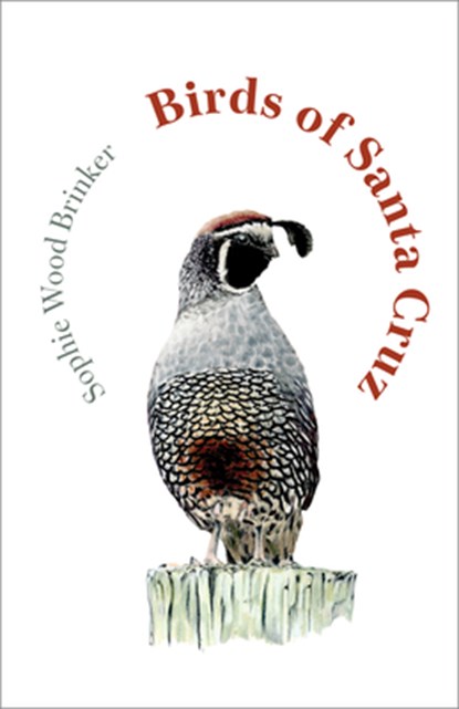 Birds of Santa Cruz, Sophie Wood Brinker - Gebonden - 9781597147095