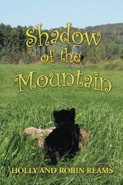 Shadow of the Mountain, Robin Reams - Paperback - 9781597151009