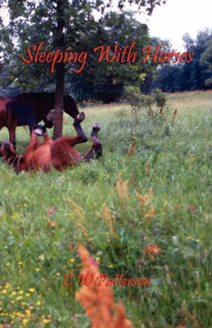 Sleeping with Horses, PATTERSON,  C. W. - Paperback - 9781598244212