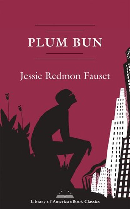 Plum Bun: A Novel Without a Moral, Jessie Redmon Fauset - Ebook - 9781598535754