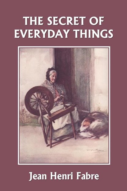 The Secret of Everyday Things (Yesterday's Classics), Jean Henri Fabre - Paperback - 9781599152523