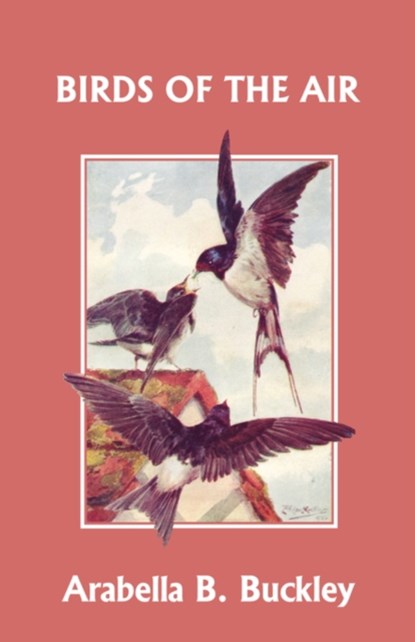 Birds of the Air (Yesterday's Classics), Arabella B. Buckley - Paperback - 9781599152745