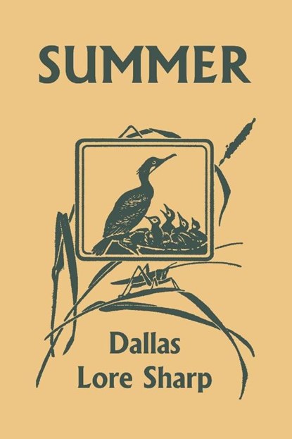 Summer (Yesterday's Classics), Dallas Lore Sharp - Paperback - 9781599154985