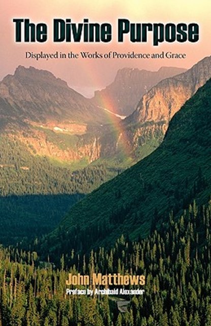 The Divine Purpose Displayed in Providence and Grace, John Matthews - Paperback - 9781599252391