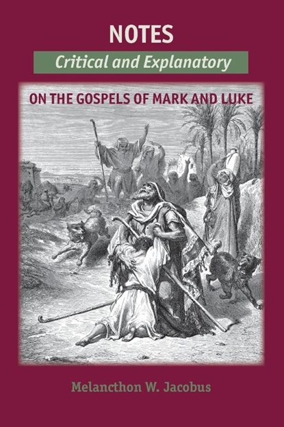 Notes on the Gospels, Melancthon W Jacobus - Paperback - 9781599253343
