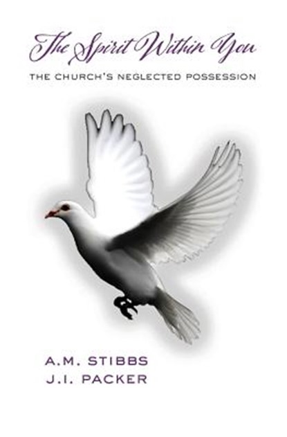 The Spirit Within You, PACKER,  James I ; Stibbs, Alan M - Paperback - 9781599253824
