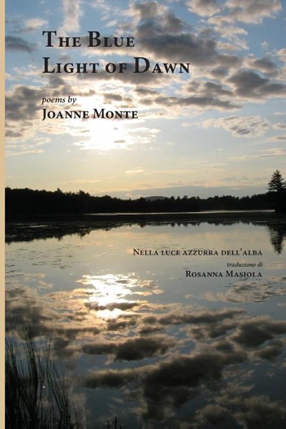 The Blue Light of Dawn, Joanne Monte - Paperback - 9781599540603