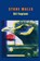 Stone Walls, FAGIANI,  Gil - Paperback - 9781599540788