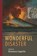 Wonderful Disaster, Rosemary Cappello - Paperback - 9781599541471