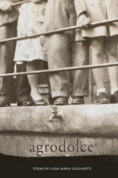 Agrodolce, Luisa Maria Giulianetti - Paperback - 9781599541976