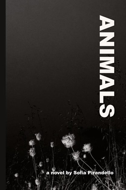 Animals, Sofia Pirandello - Paperback - 9781599542256