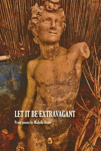 Let It Be Extravagant, Michelle Reale - Paperback - 9781599542423