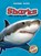 Sharks, Colleen Sexton - Paperback - 9781600143748