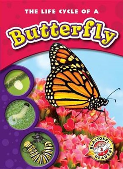 The Life Cycle of a Butterfly, Colleen Sexton - Paperback - 9781600145223
