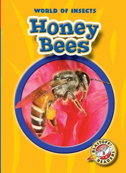HONEY BEES, Colleen Sexton - Paperback - 9781600146978