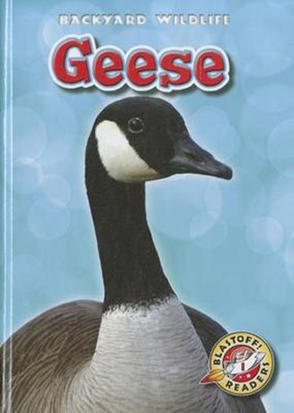 Geese, BORGERT-SPANIOL,  Megan - Gebonden - 9781600147227