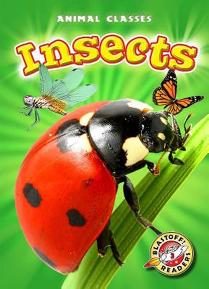 Insects, Kari Schuetz - Paperback - 9781600148408