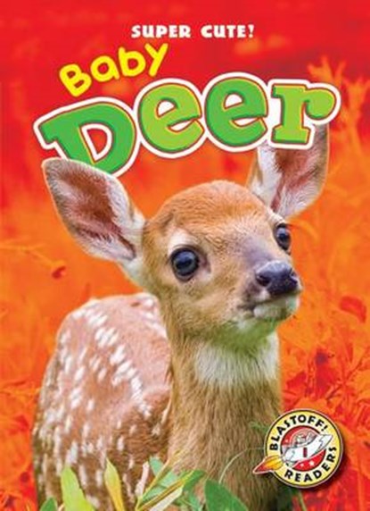 Baby Deer, Bethany Olson - Gebonden - 9781600149252