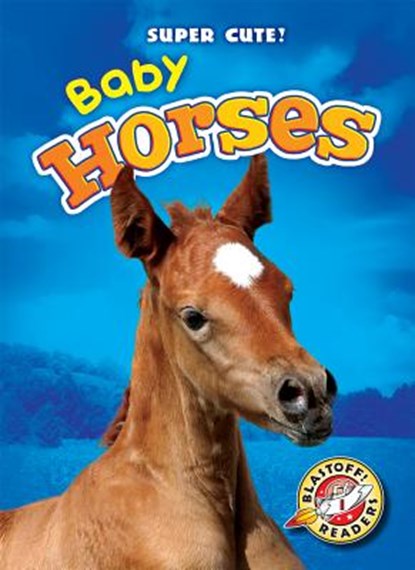 Baby Horses, Bethany Olson - Gebonden - 9781600149283