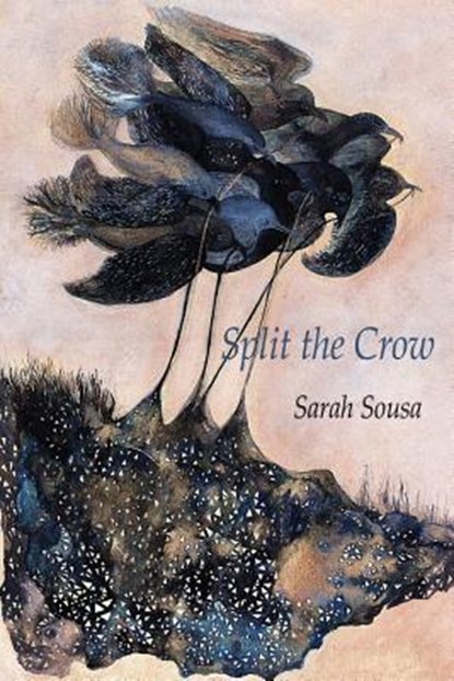 Split the Crow, Sarah Sousa - Paperback - 9781602356351