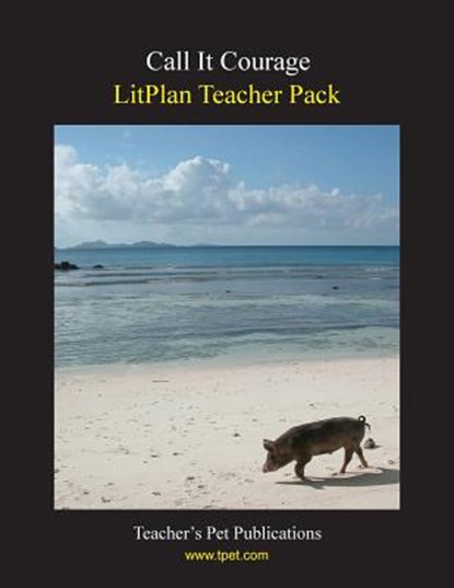 Litplan Teacher Pack: Call It Courage, Barbara M. Linde - Paperback - 9781602491373
