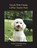 Litplan Teacher Pack: Travels with Charley, Mary B. Collins - Paperback - 9781602492639