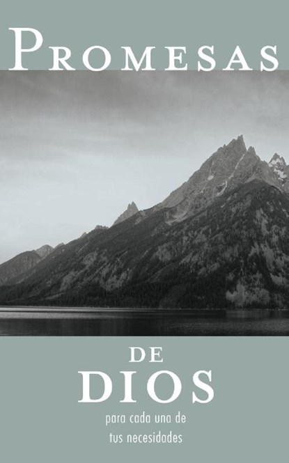 Promesas de Dios para cada una de tus necesidades, Jack Countryman - Paperback - 9781602553514