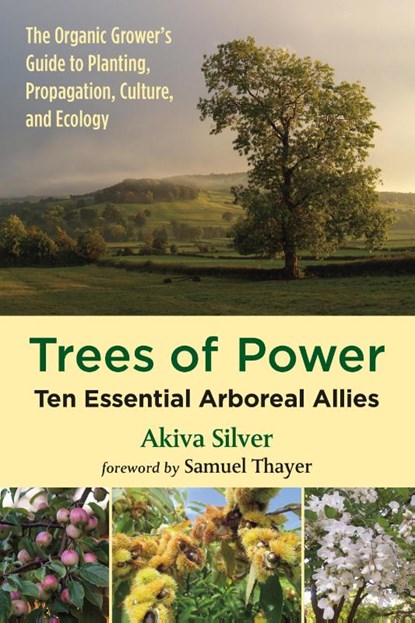 Trees of Power, Akiva Silver - Paperback - 9781603588416